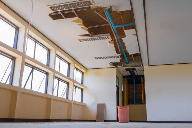 Best Mold removal after water damage  in Pahrump, NV