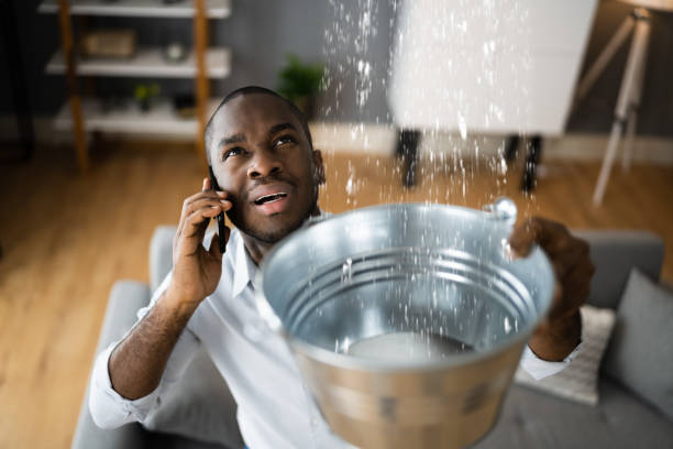 Best Fire Damage Restoration  in Pahrump, NV