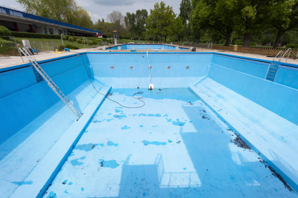 Best Sewage cleanup and water damage restoration  in Pahrump, NV