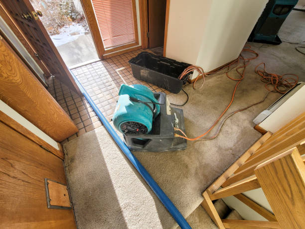 Local water damage restoration in NV