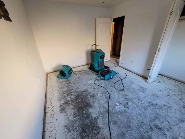Best Local water damage restoration  in Pahrump, NV