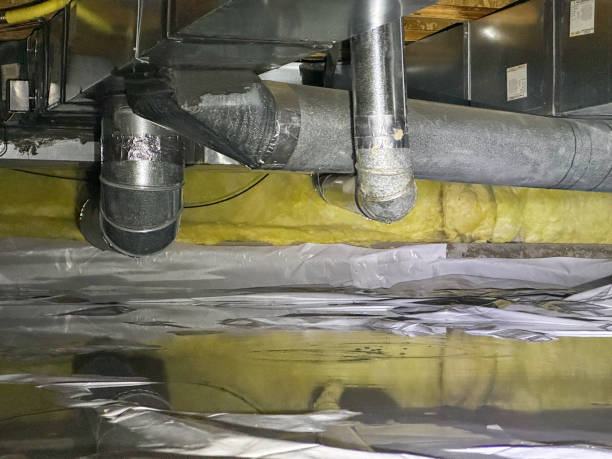 Best Professional water damage repair  in Pahrump, NV
