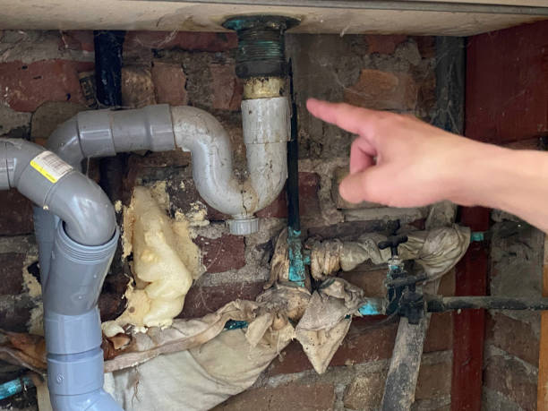 Best Ceiling water damage repair  in Pahrump, NV