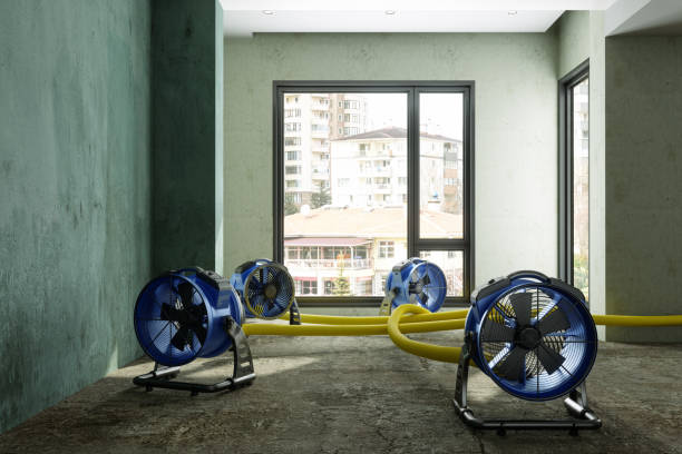 Best 24-hour water damage restoration  in Pahrump, NV