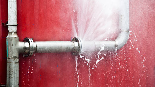 Best Carpet water damage restoration  in Pahrump, NV