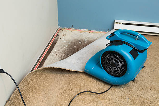 Best Water damage restoration cost  in Pahrump, NV