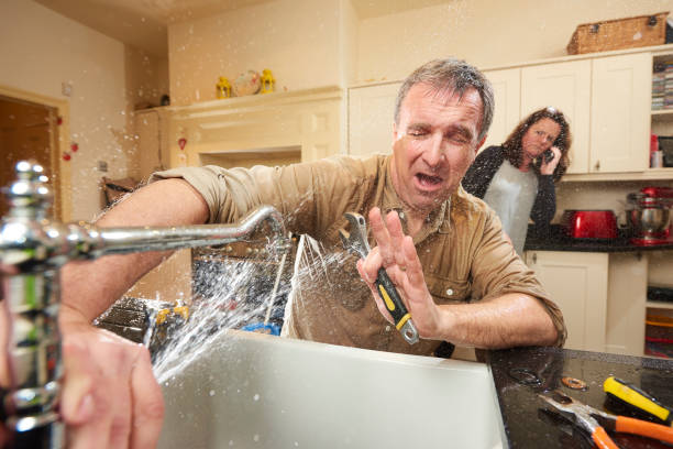 Best Flooded house restoration  in Pahrump, NV
